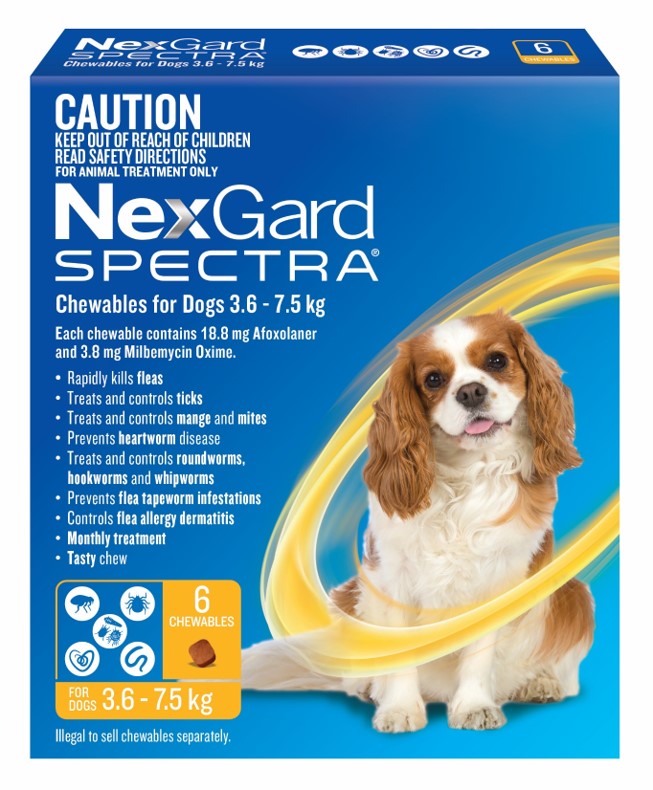 Nexgard Flea and Worm 3.6 - 7.5 kg, 6 Months, Gippsland Veterinary Group
