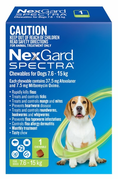 Nexgard Flea and Worm 7.6 - 15 kg One Month Gippsland Veterinary Group