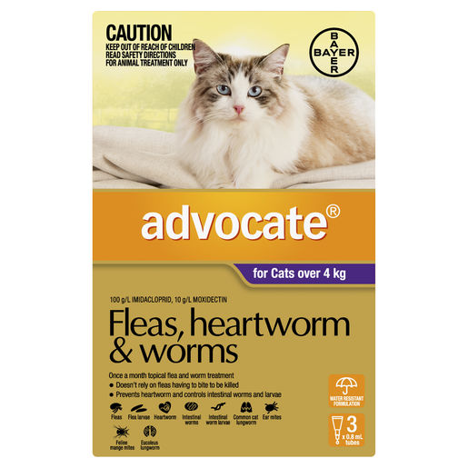 Advocate Fleas, Heartworm & Worms For Cats Over 4kg - 3 Pack Gippsland Veterinary Group