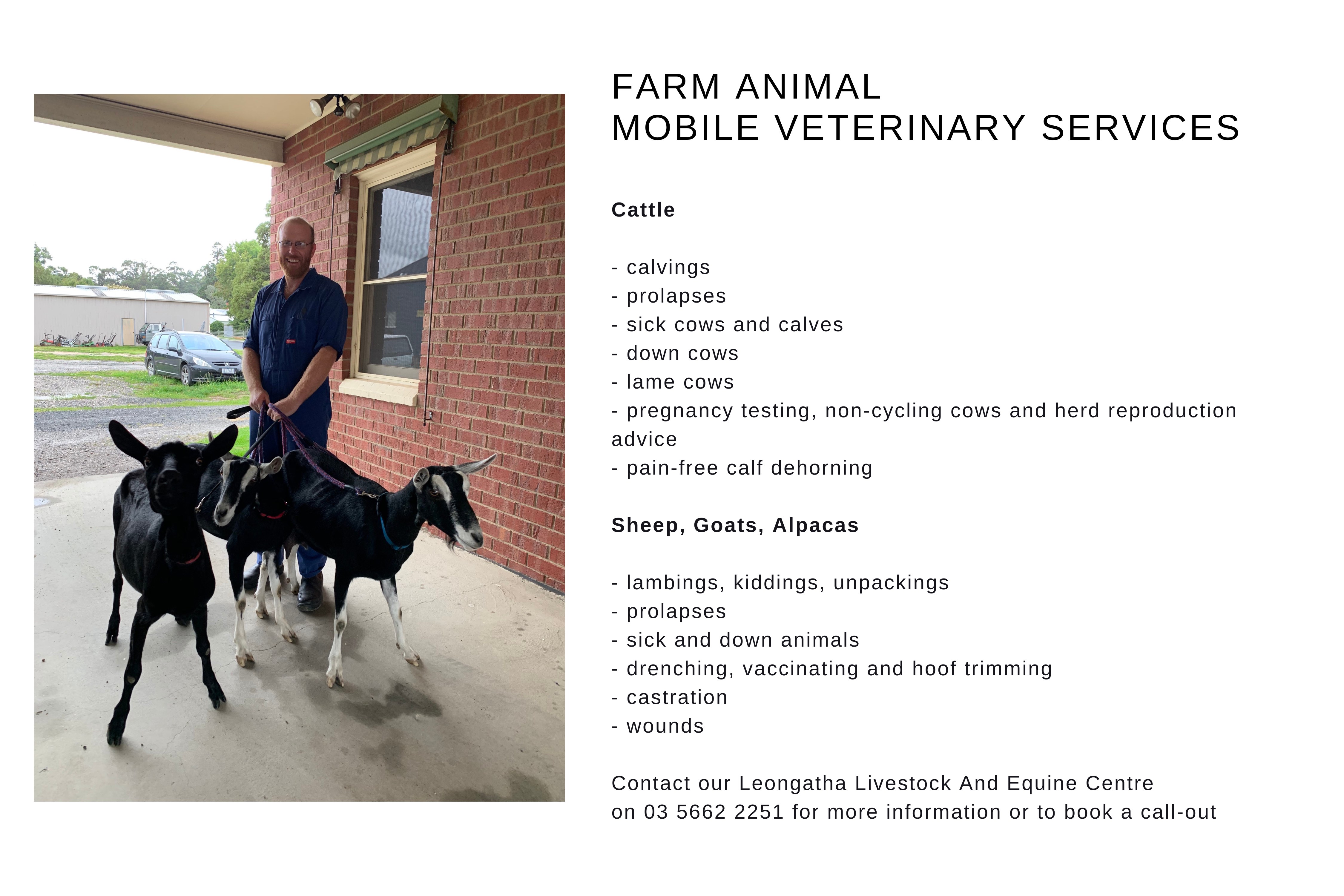 Mobile Veterinary Services 1 